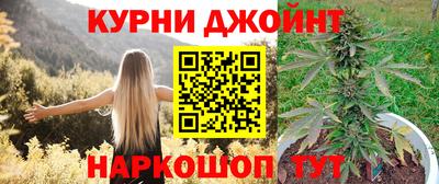 стаф Белореченск