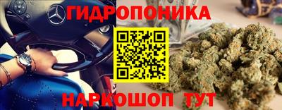 стаф Белореченск