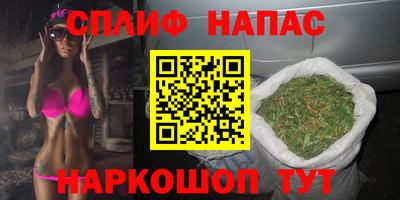 стаф Белореченск