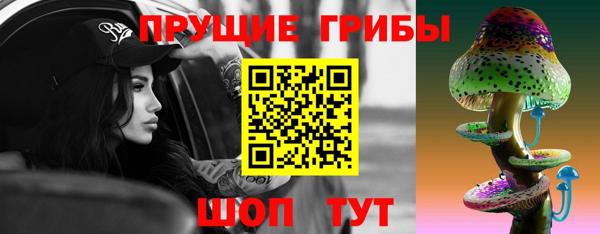 Галлюциногенные грибы Psilocybine cubensis Добрянка